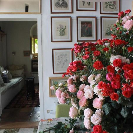Bed and Breakfast Beit Douma Exterior foto